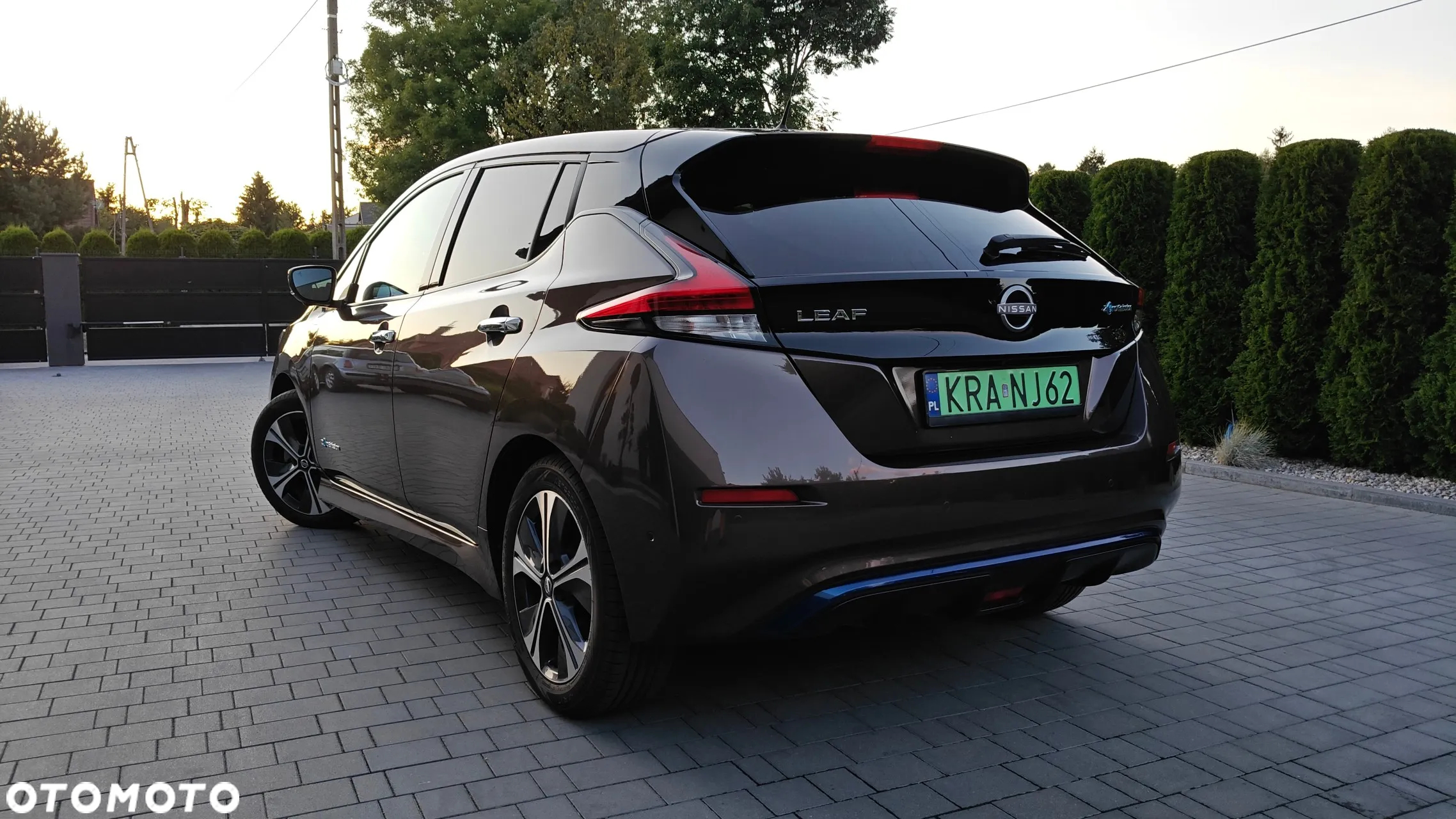 Nissan Leaf 40kWh Tekna - 2