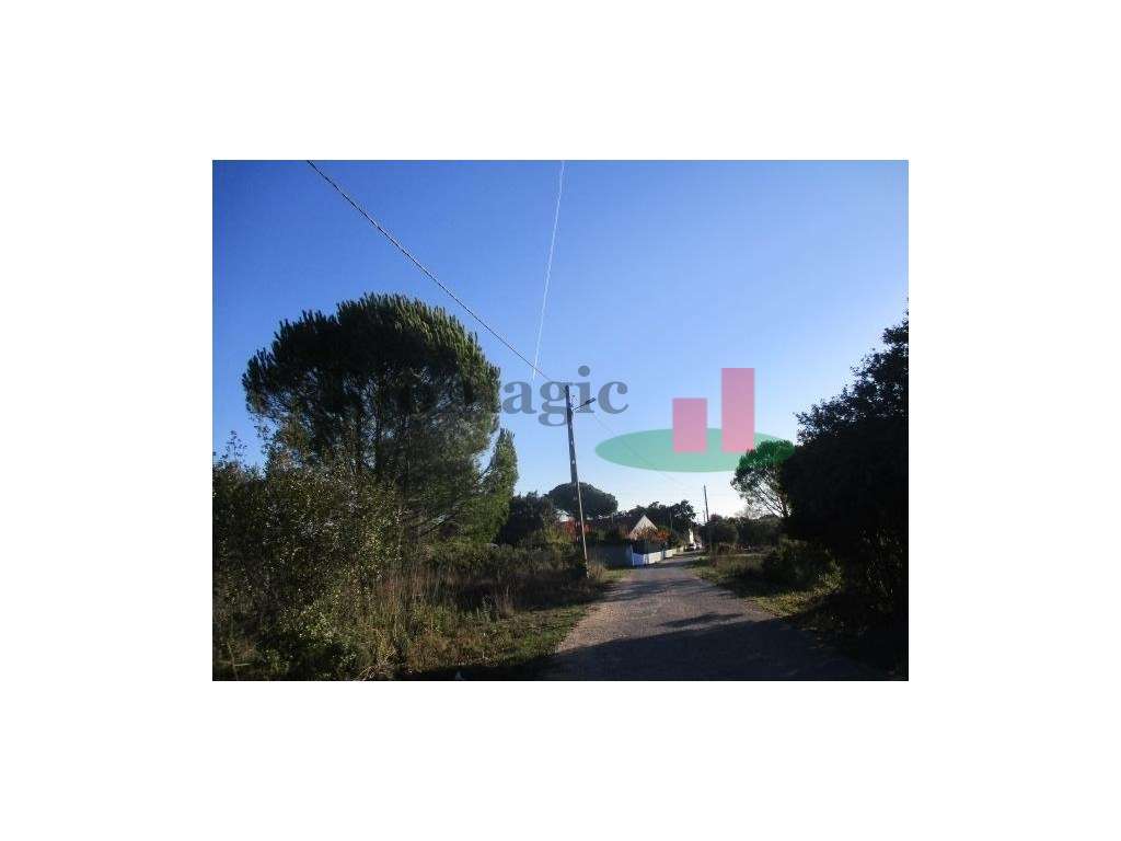 Terreno Urbano em Tomar - Grande imagem: 3/6