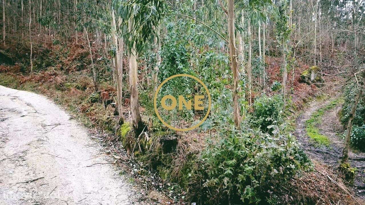 Terreno Rústico - São Mamede de Este, Braga - Grande imagem: 3/4