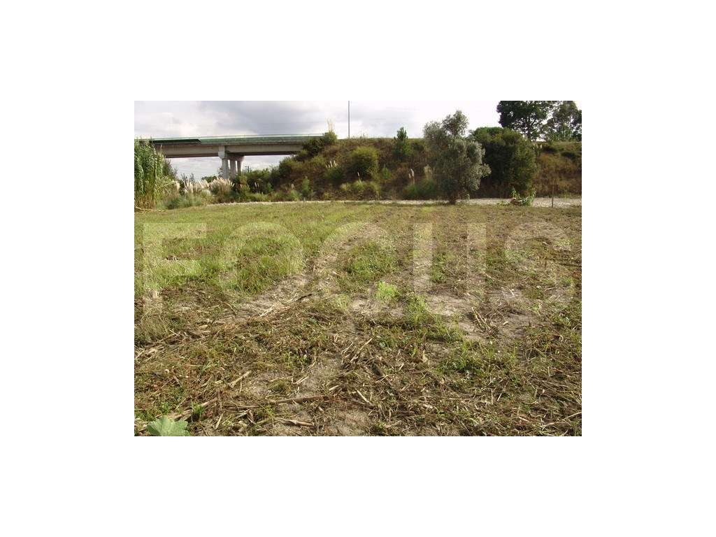 Terreno Urbano Venda Aveiro - Grande imagem: 4/8