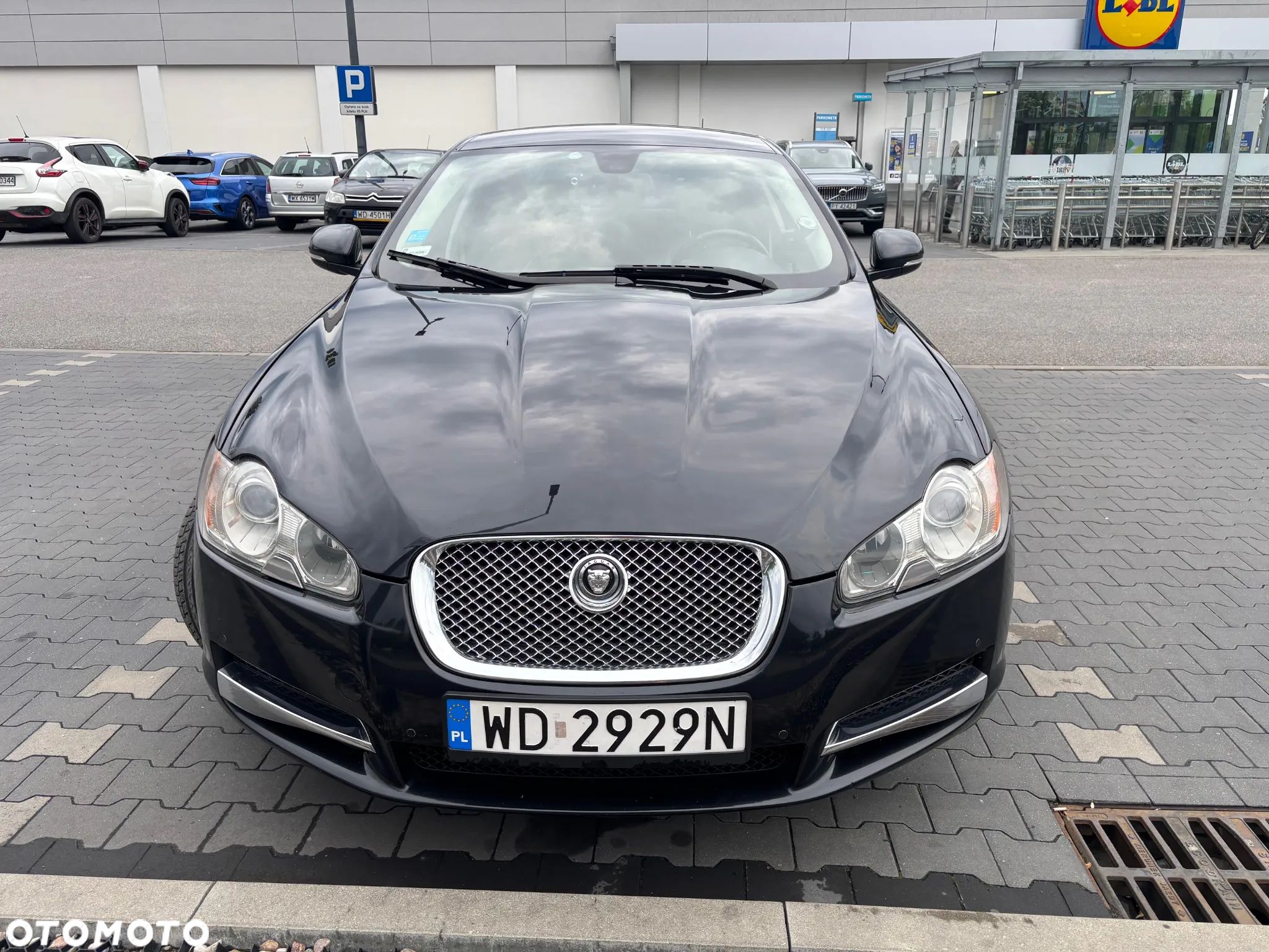 Jaguar XF 3.0 V6 D Luxury - 1