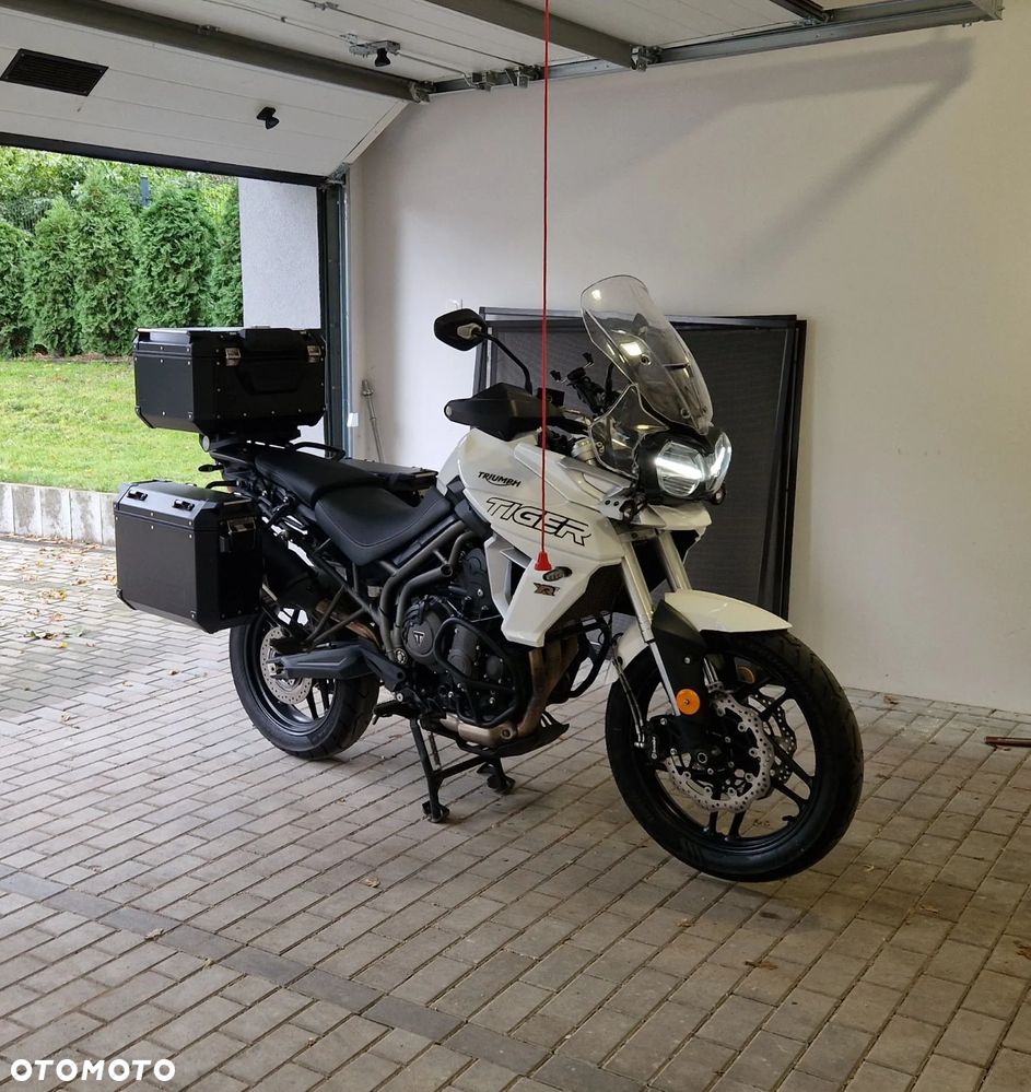 Triumph Tiger - 2