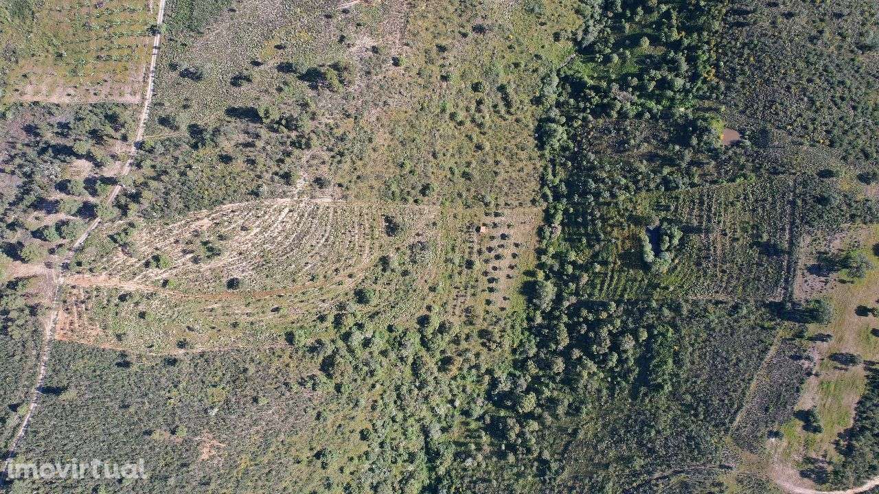 Terreno - Grande imagem: 3/6