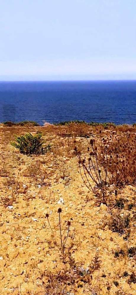Terreno Rústico à Beira-Mar em Espinheiras Sintra - Grande imagem: 4/14