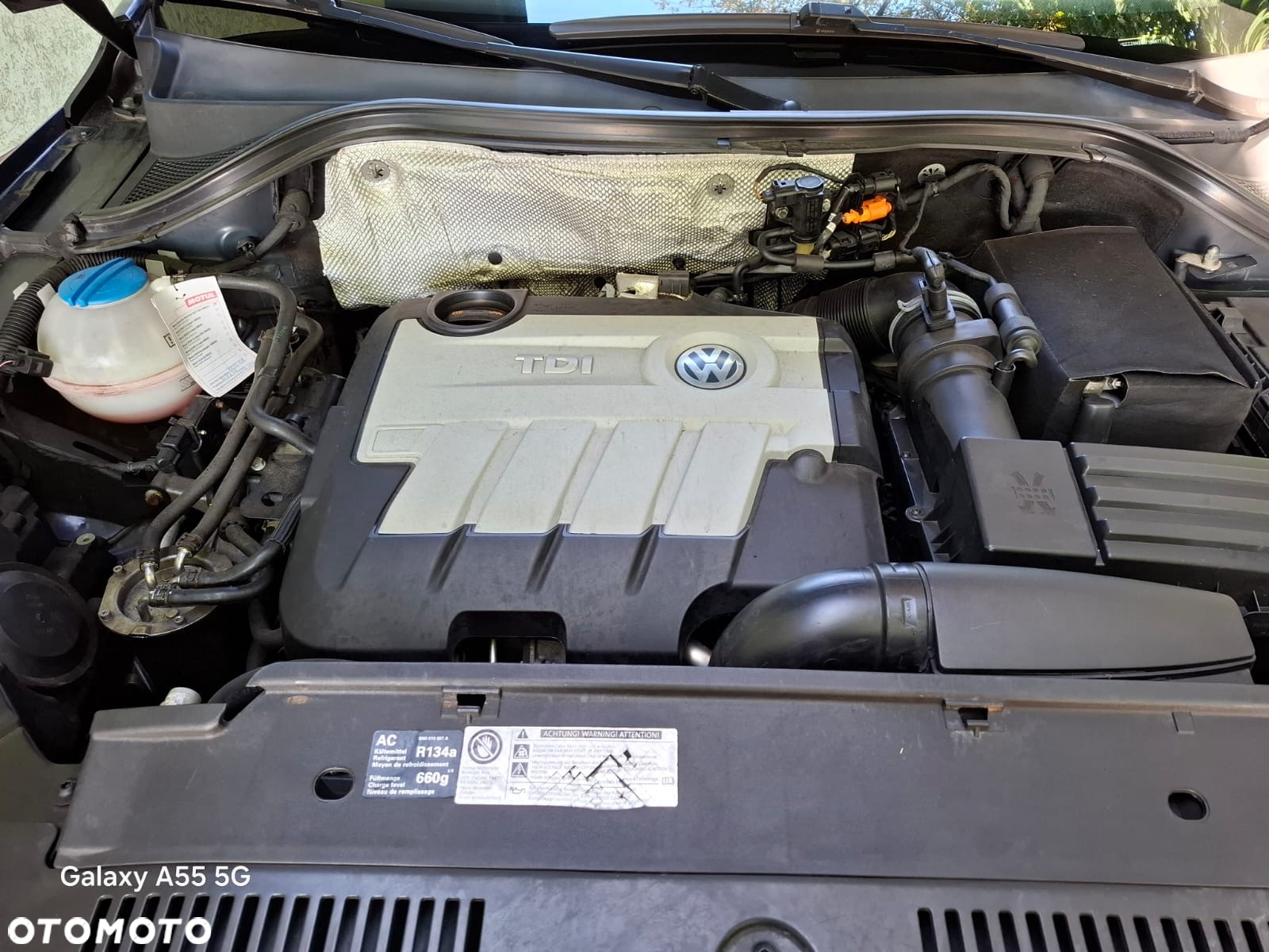 Volkswagen Tiguan - 18