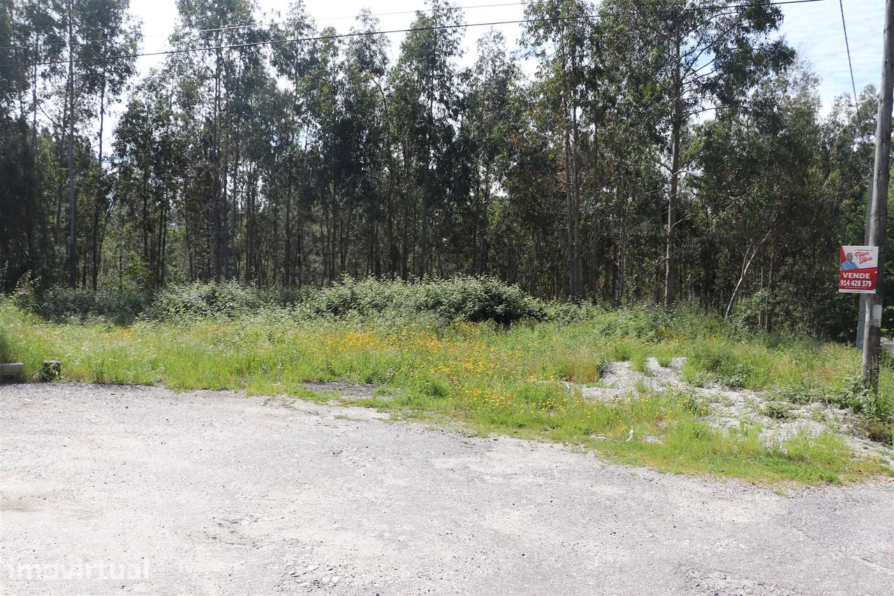 Lote de Terreno  Venda em Lustosa e Barrosas (Santo Estêvão),Lousada - Grande imagem: 2/12