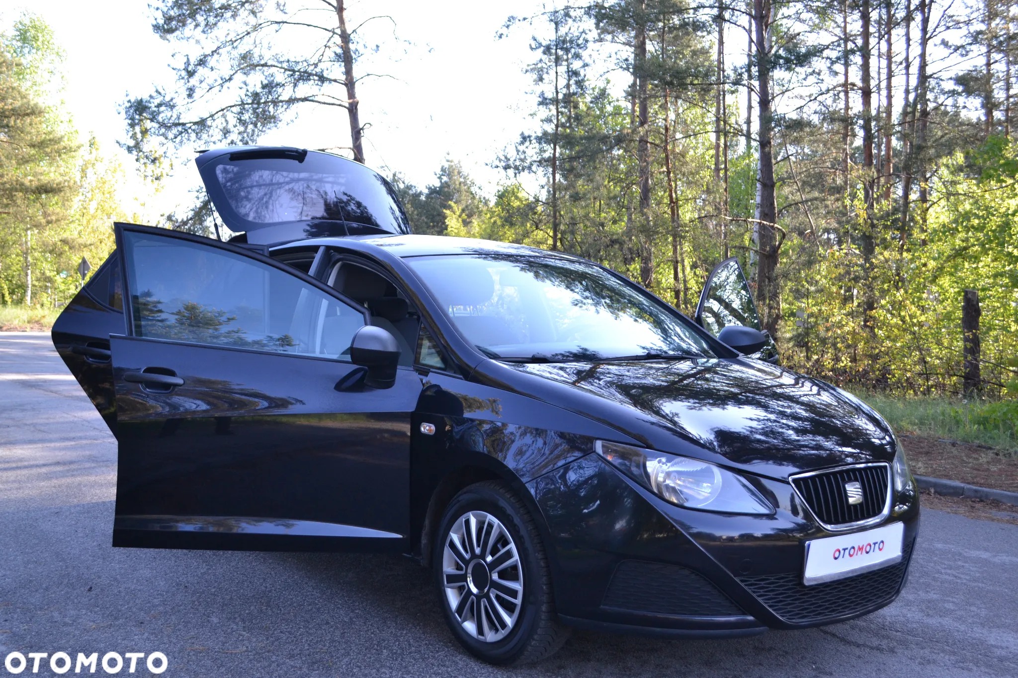 Seat Ibiza - 19