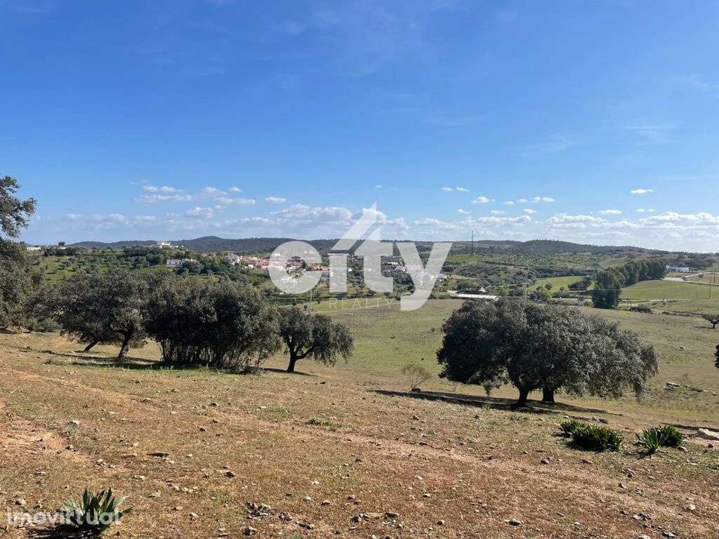 Herdade de Monte Branco, Figueira e Malhada Velha - Grande imagem: 2/41