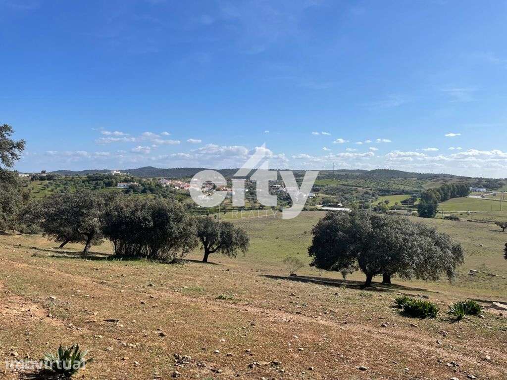 Herdade de Monte Branco, Figueira e Malhada Velha - Grande imagem: 2/41