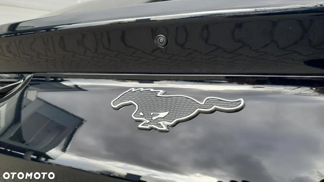Ford Mustang Mach-E RWD - 13