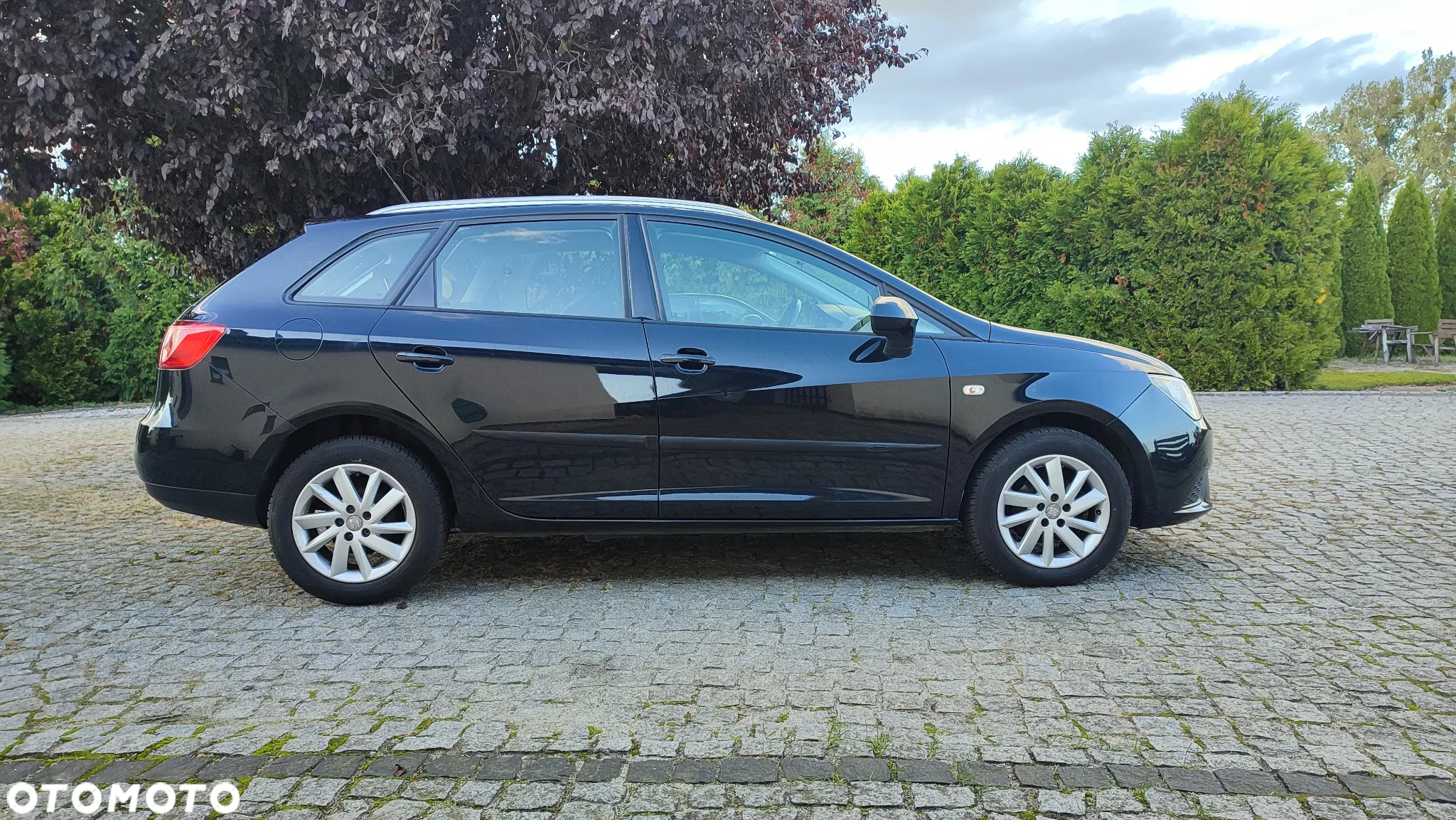 Seat Ibiza 1.2 TDI CR Ecomotive Style Viva - 2