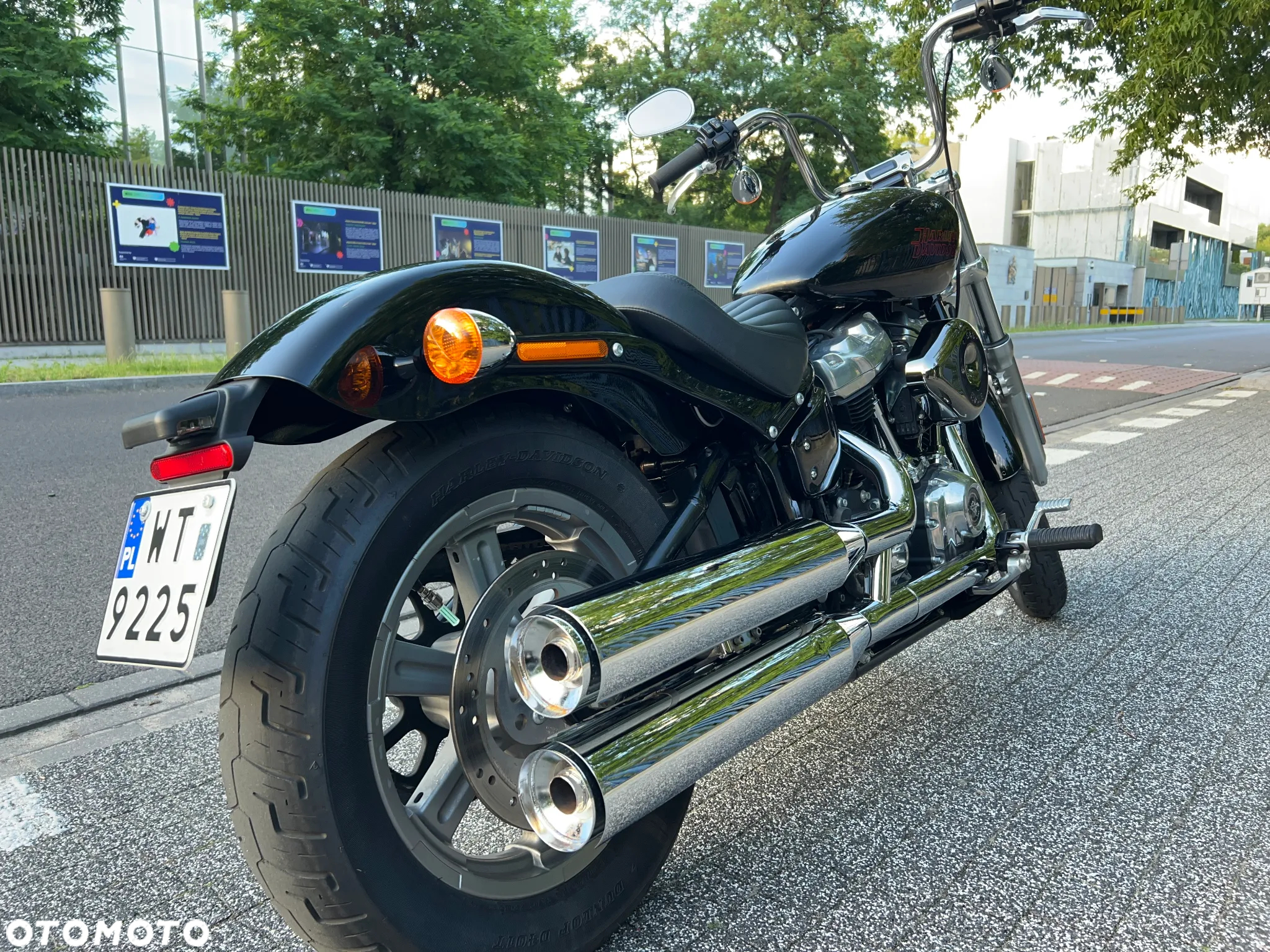Harley-Davidson Softail Standard - 14