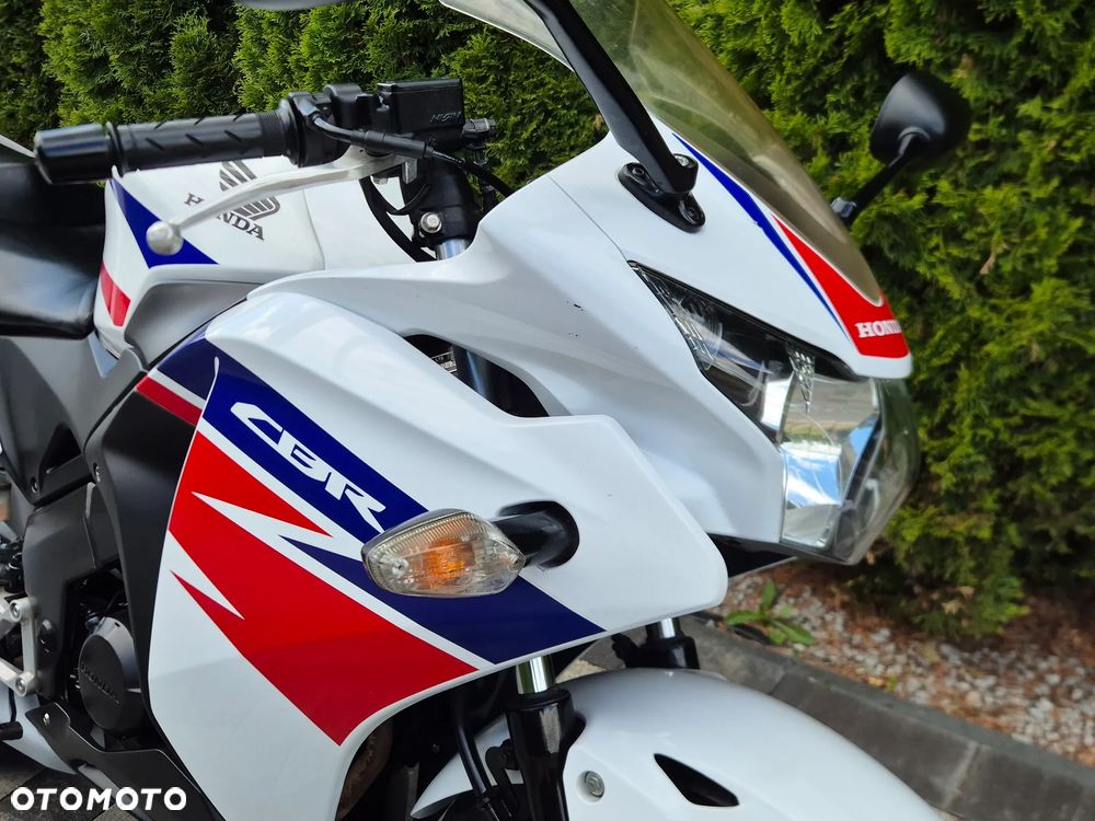 Honda CBR - 13