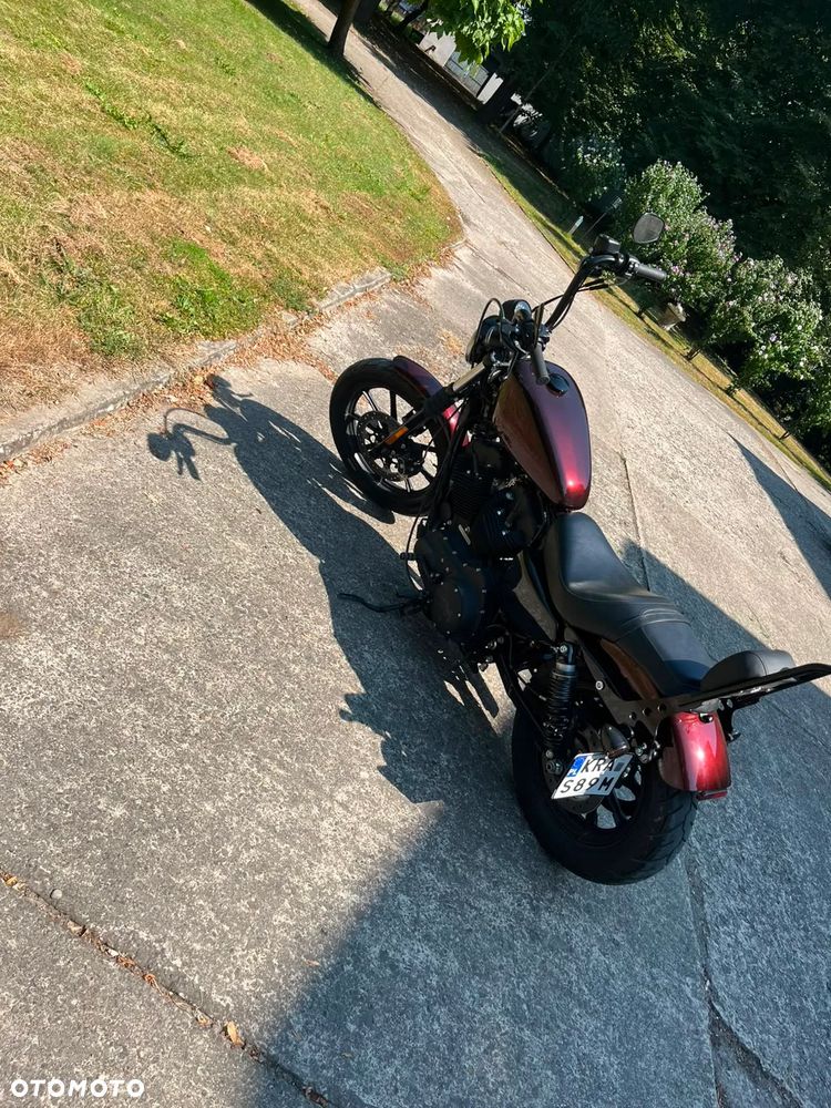 Harley-Davidson Sportster Iron 1200 - 3