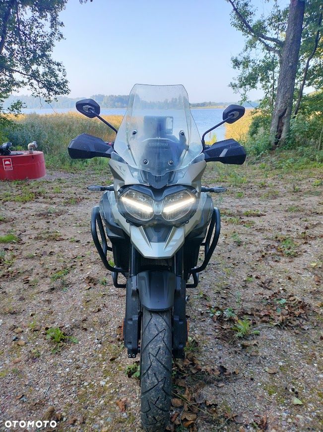 Triumph Tiger - 21
