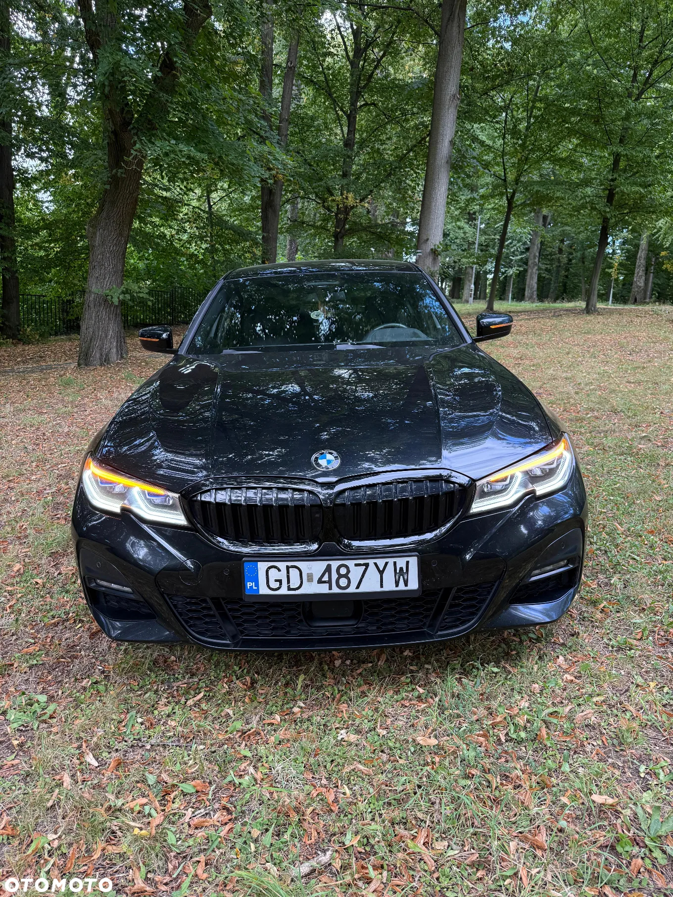 BMW Seria 3 330d xDrive - 2