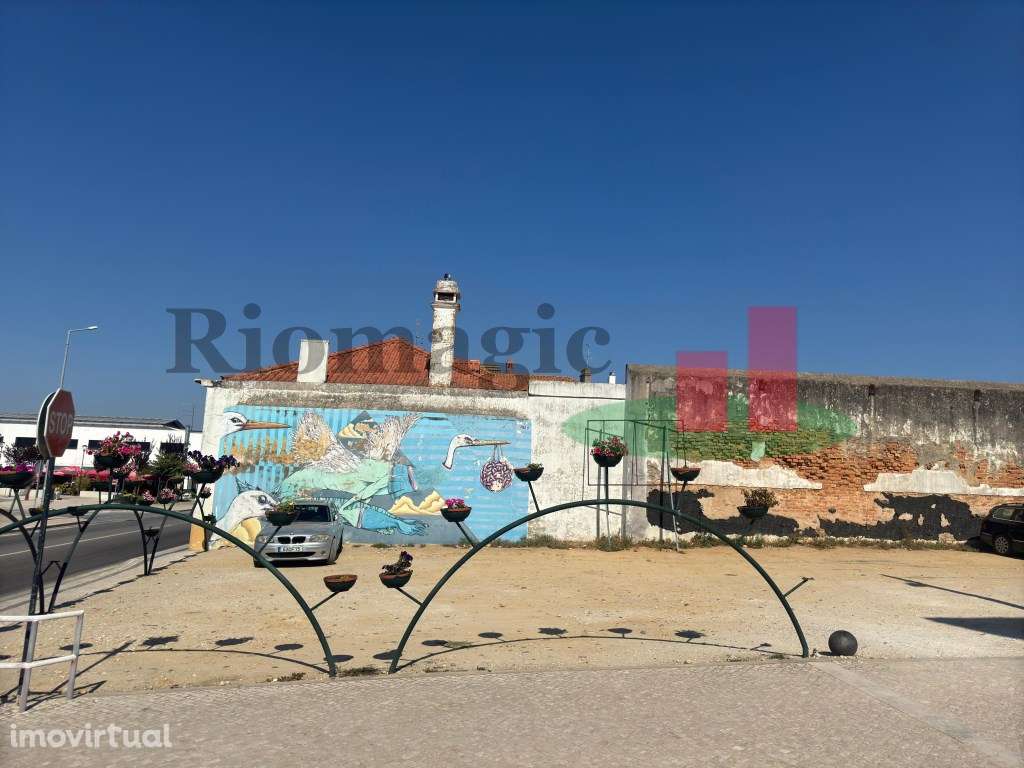 Lote de Terreno Alpiarça ***RIOMAGIC*** - Grande imagem: 3/4