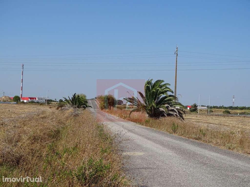 Terreno com 9 ha com viabilidade para turismo/agrícola em Benavente - Grande imagem: 3/20