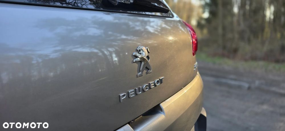 Peugeot 3008 1.6 Active - 21