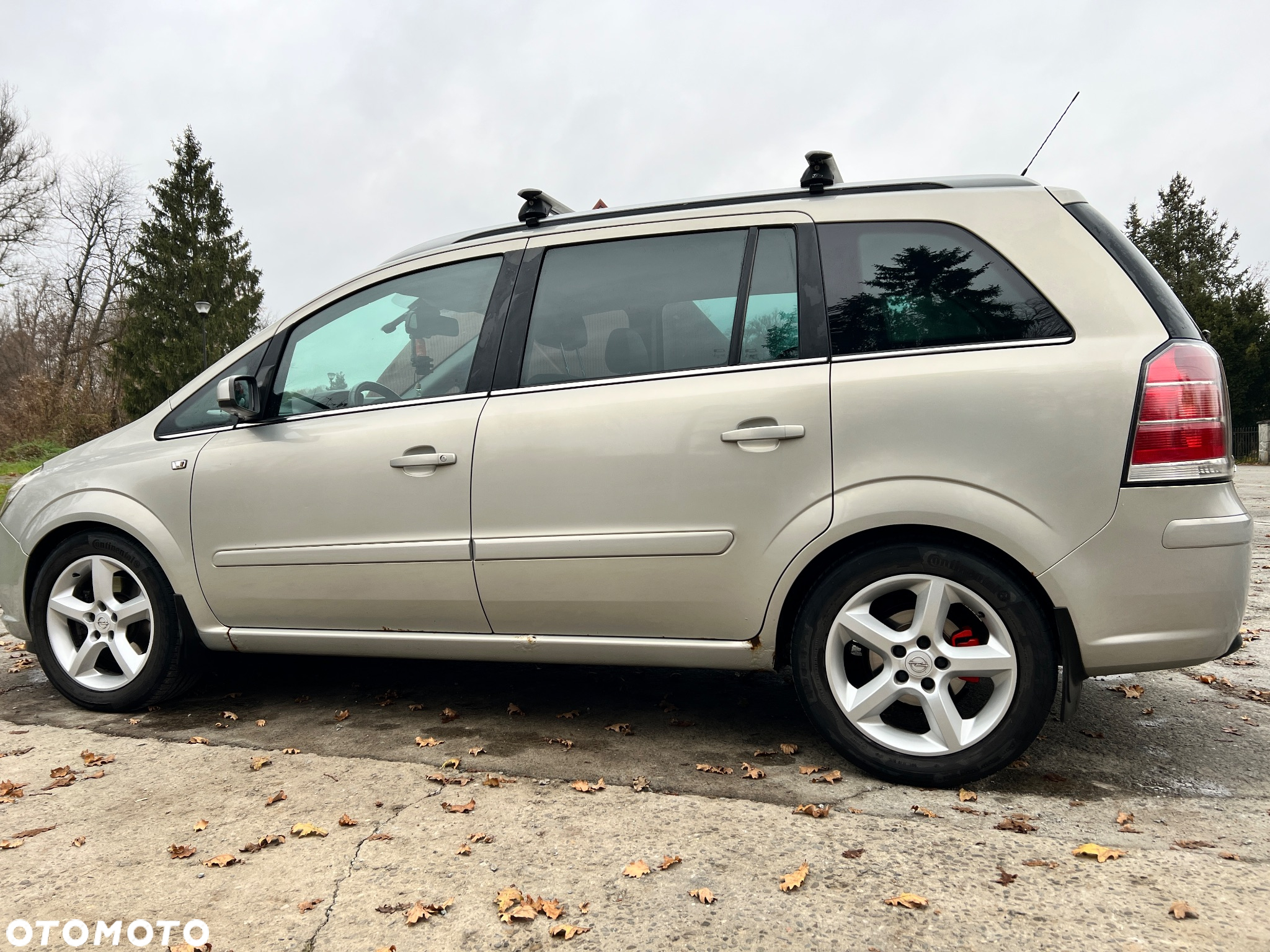 Opel Zafira 1.9 CDTI Cosmo - 2