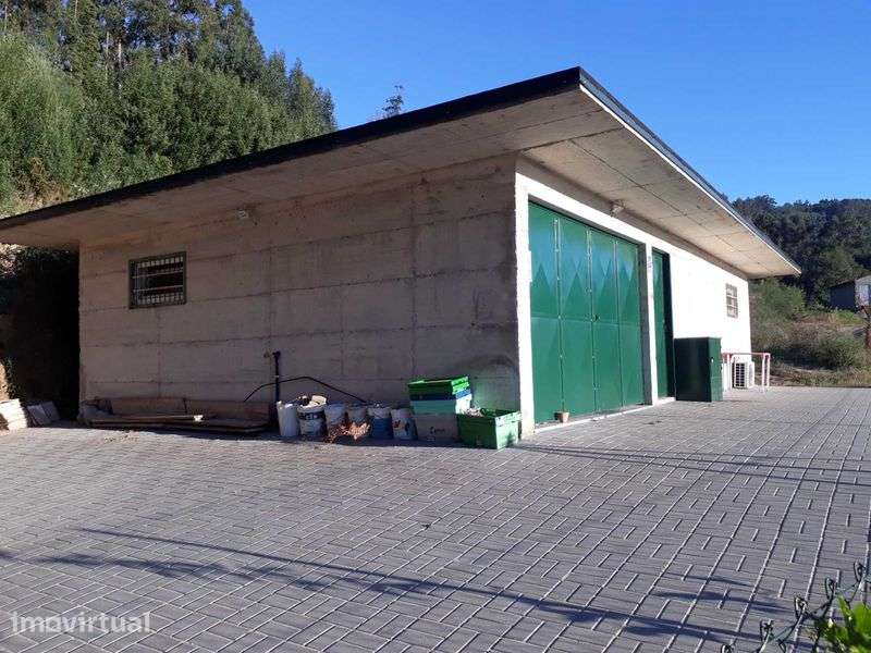 Terreno - São Pedro de Castelões - Vista 2
