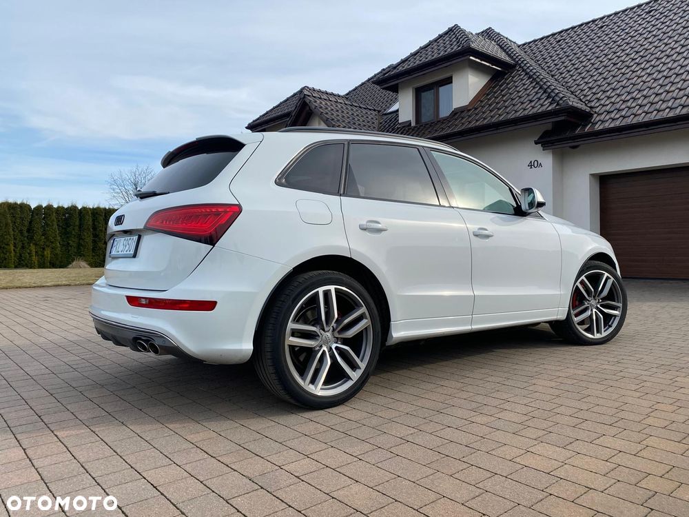Audi SQ5 3.0 TDI Quattro Competition - 19