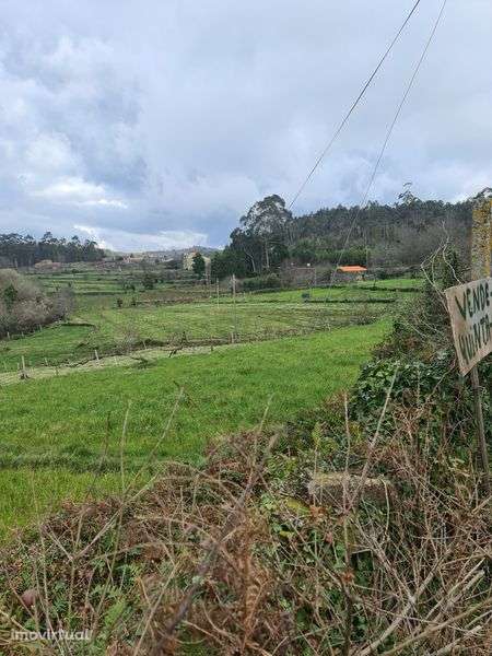 Quinta Agrícola a 5 minutos da A25 - Grande imagem: 5/7