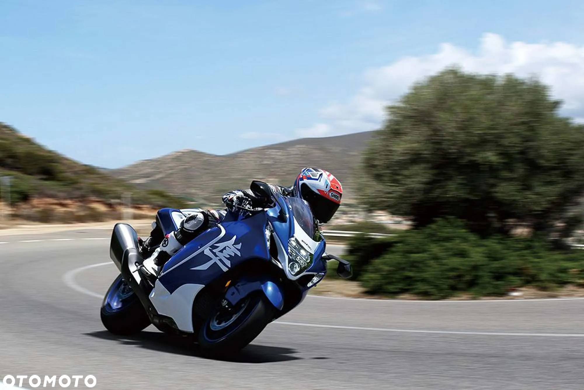 Suzuki Hayabusa - 7