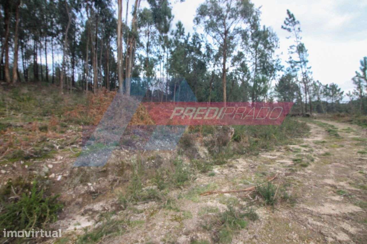 Terreno para Construção na zona de Vila Verde! - Grande imagem: 3/6