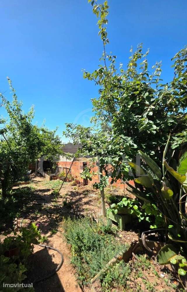 Moradia T3 de 2 pisos com quintal e arrumos no Alentejo - Grande imagem: 5/29