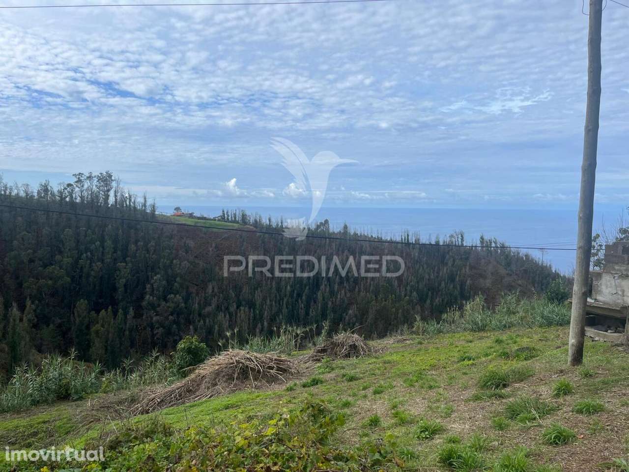 MORADIA EM PEDRA,COM TERRENO (1.000M2) E 2 PALHEIROS - Grande imagem: 2/14