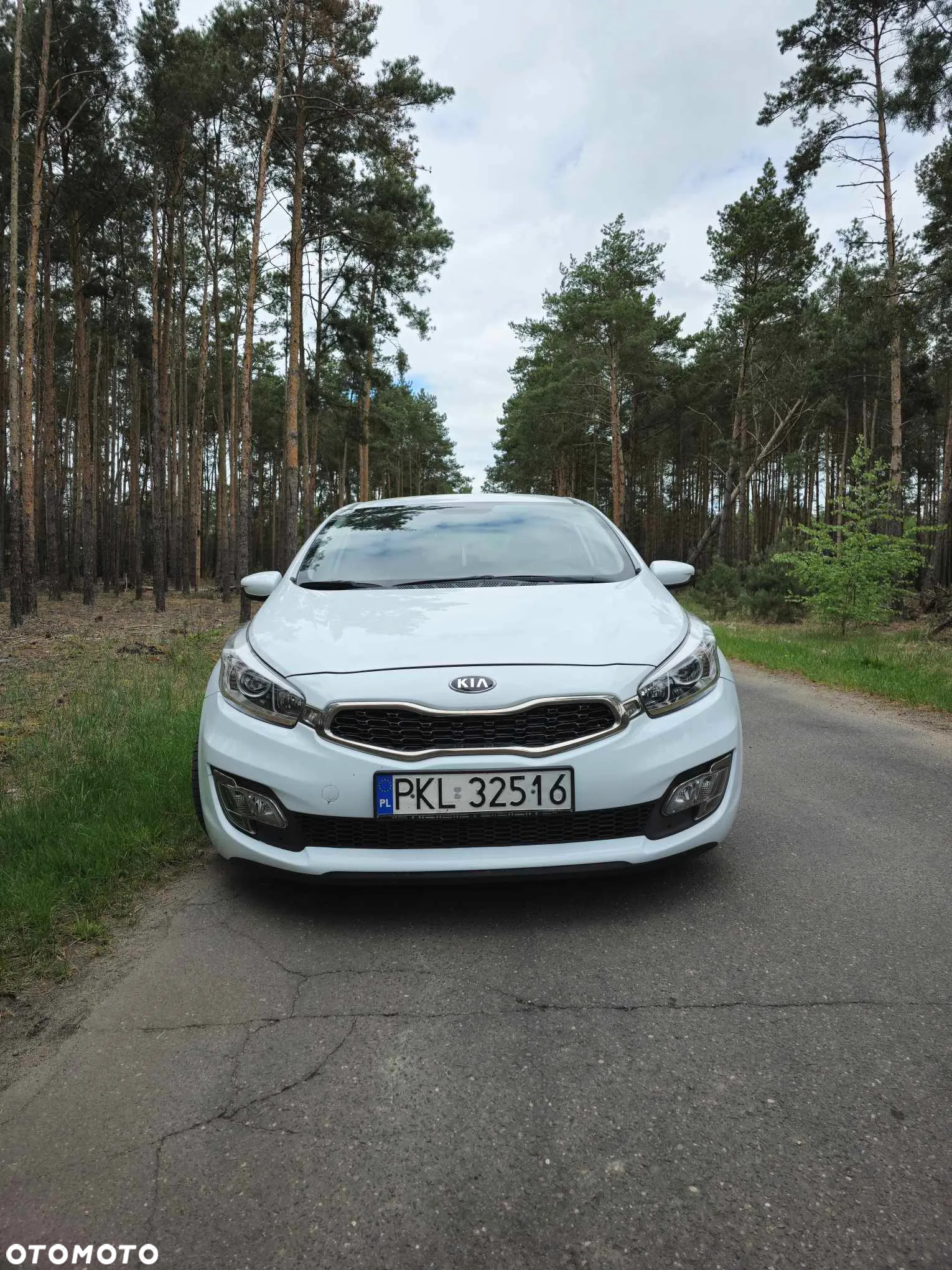 Kia ProCeed Pro_cee'd 1.6 crdi M - 3