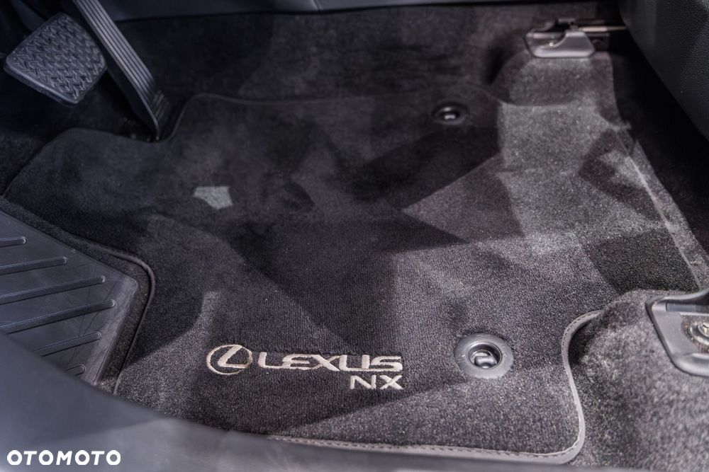 Lexus NX - 31