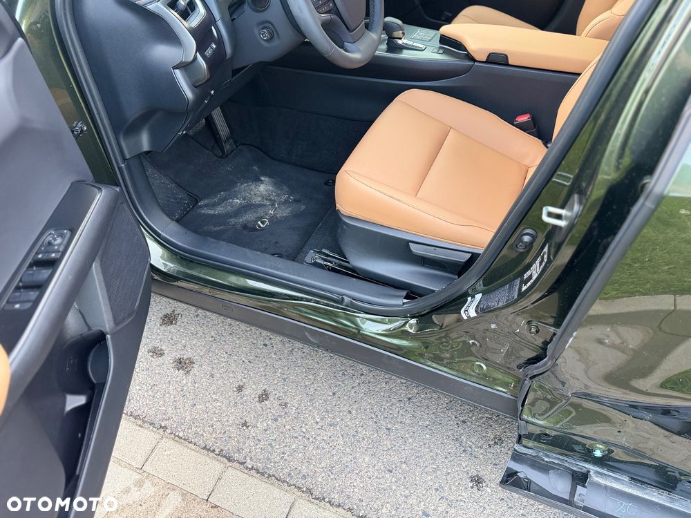 Lexus UX 300h F Sport AWD - 13