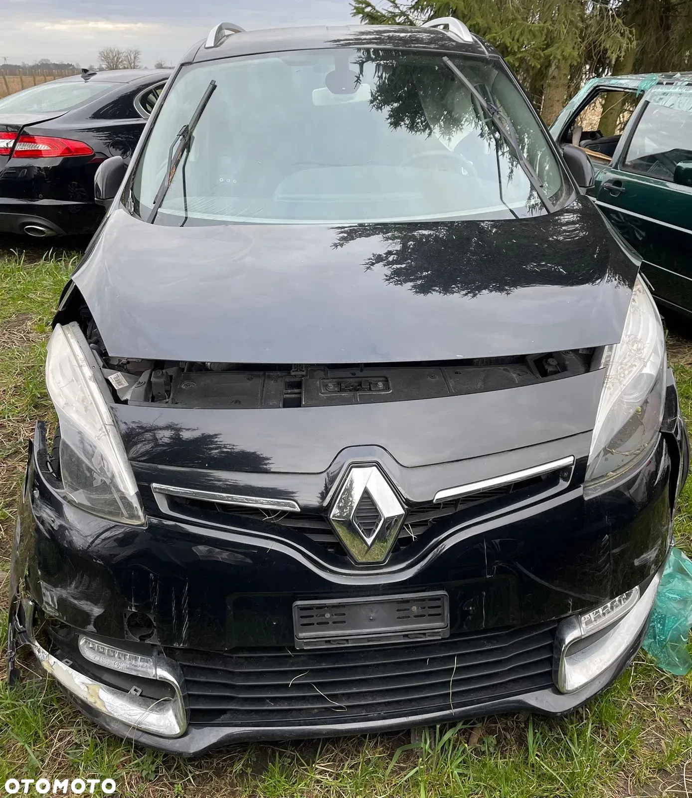 Renault Scenic - 3