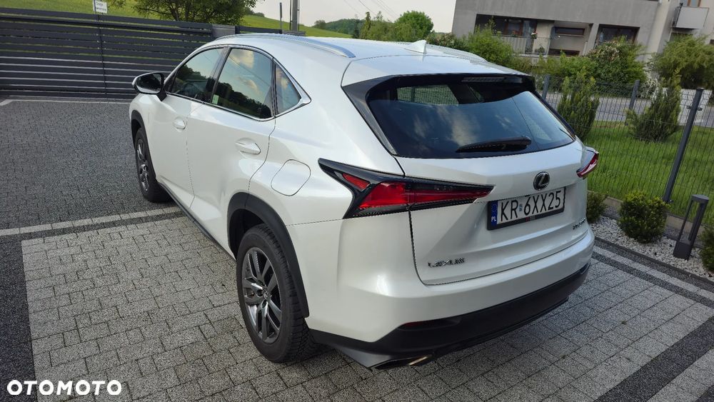Lexus NX 300 Business Edition AWD - 5