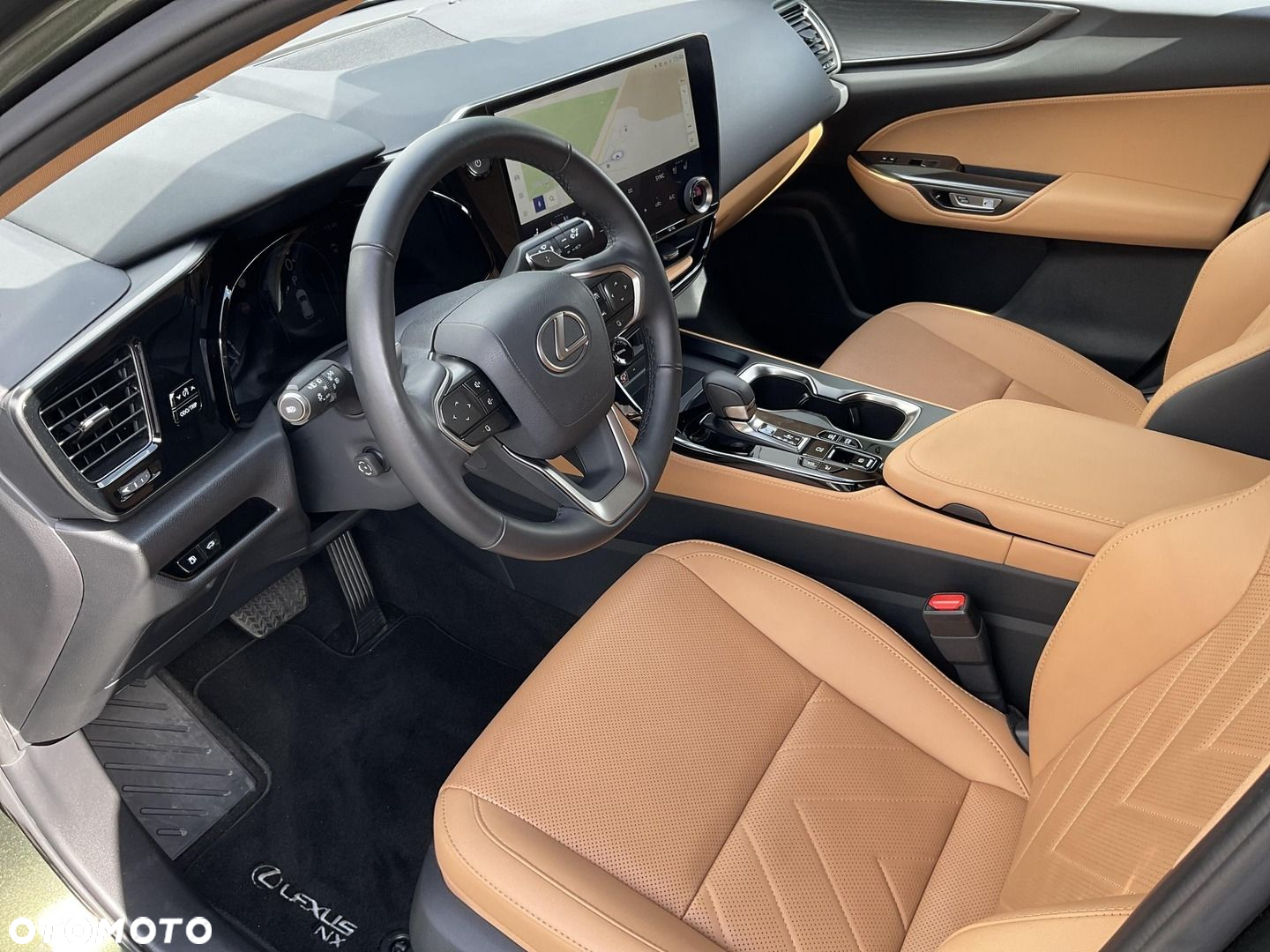 Lexus NX - 10