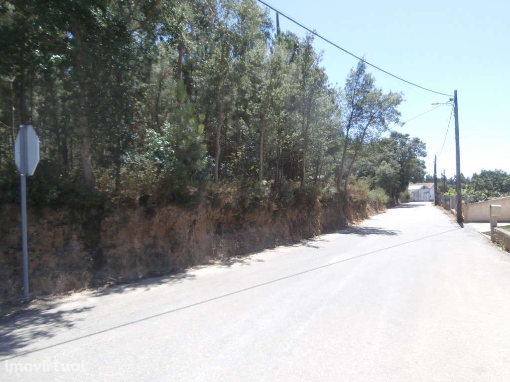 Terreno a Eucaliptal em Paradela (venda judicial - verba n.º 9) - Grande imagem: 3/6