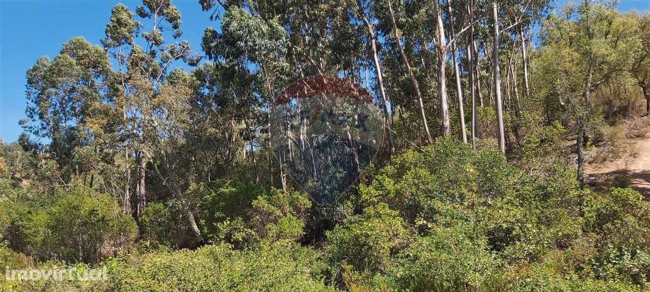 Terreno  para venda - Grande imagem: 5/10