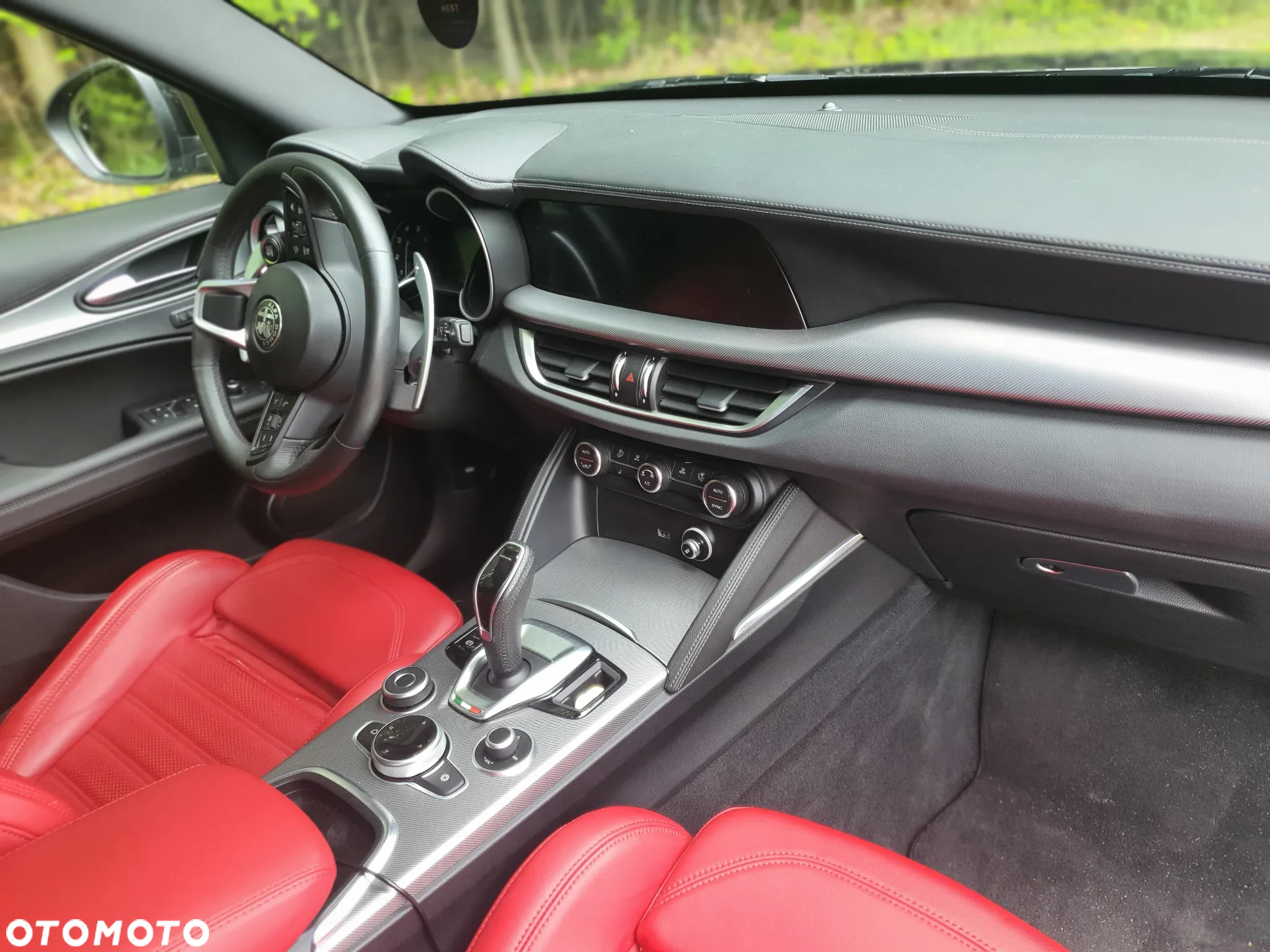 Alfa Romeo Stelvio 2.0 Turbo 16V AT8-Q4 Veloce - 20