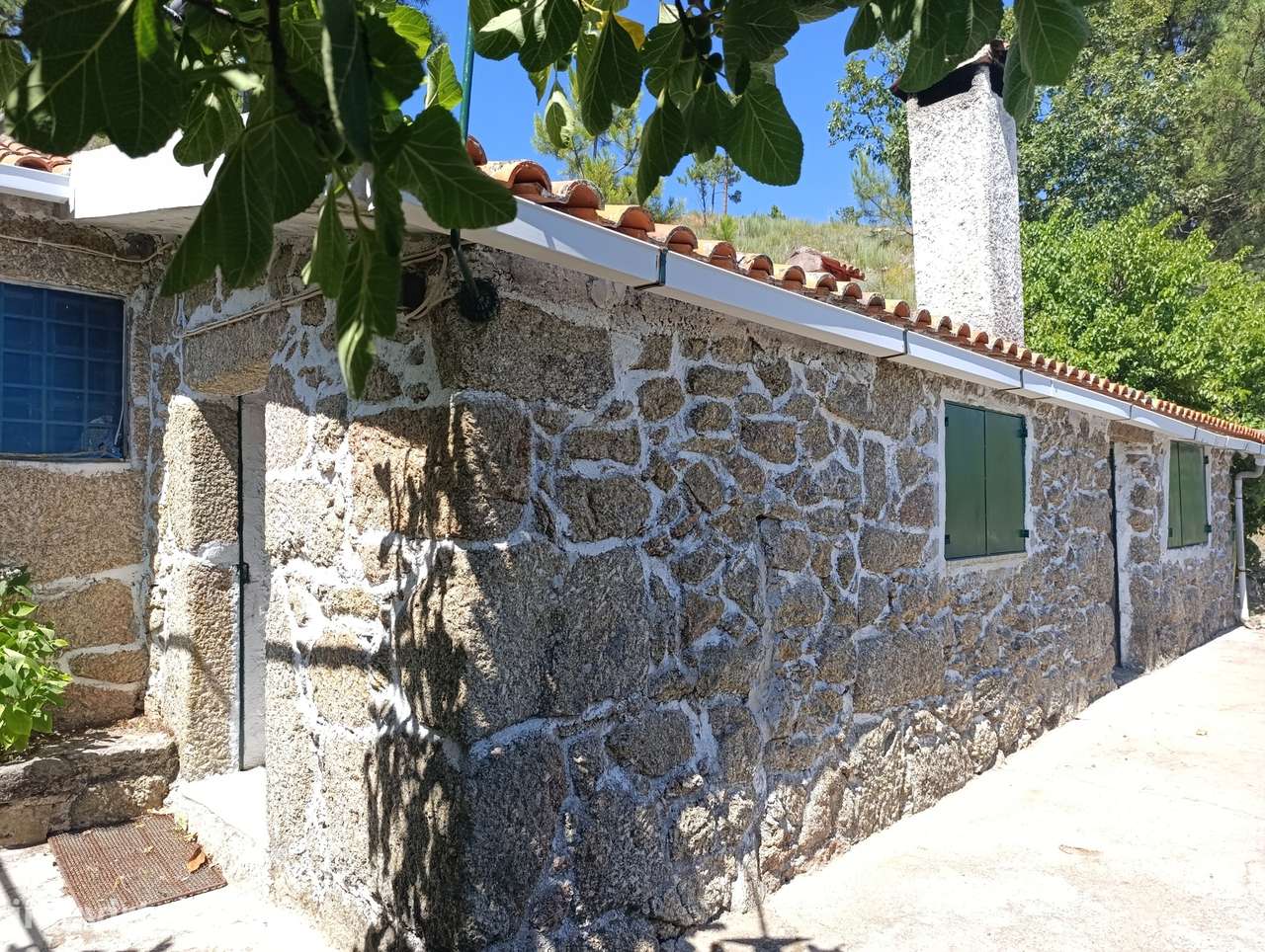 Quinta 3.8 hectares com Casa e Anexos - Serra da Estrela – Covilhã - Grande imagem: 4/31
