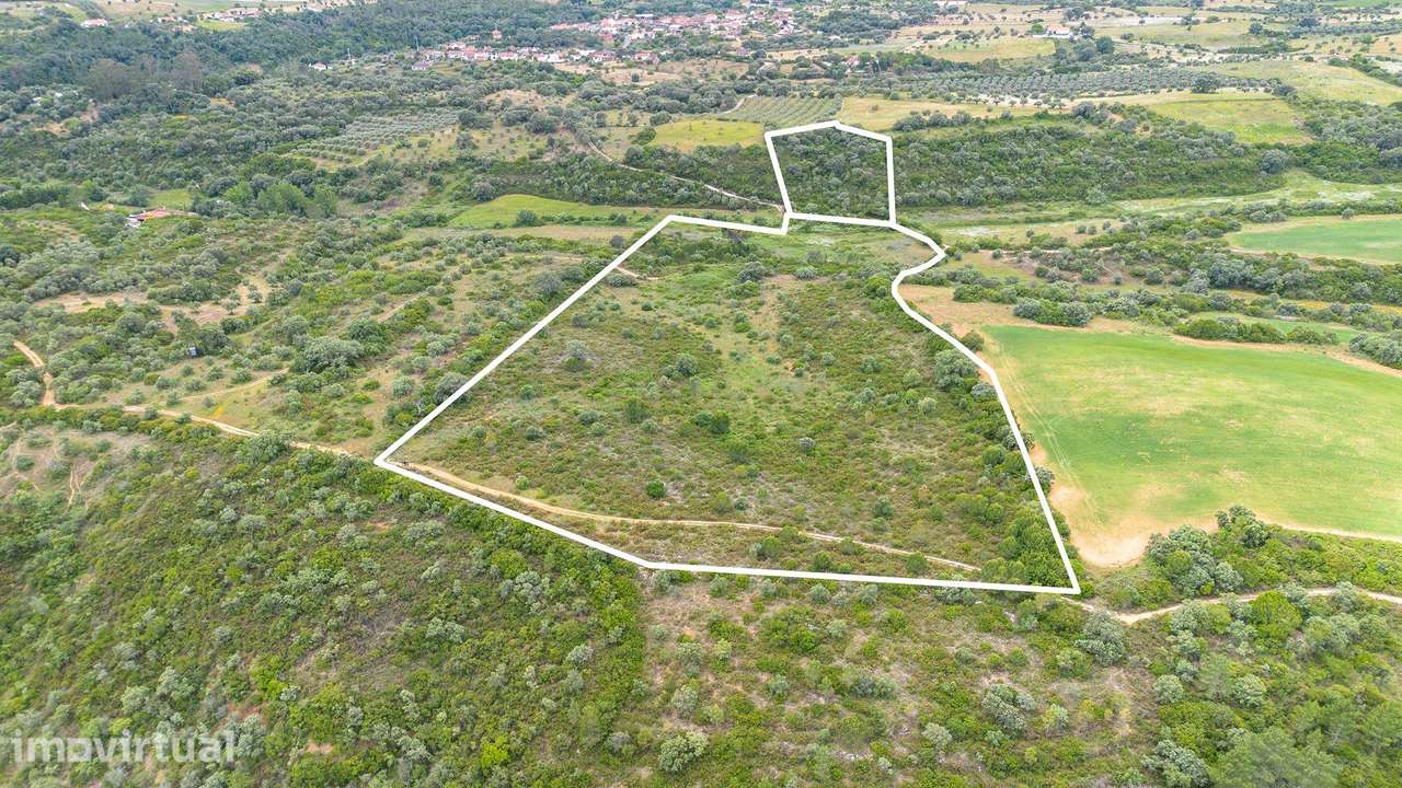 TERRENO COM 50.000M2 EM SANTARÉM - Grande imagem: 5/33