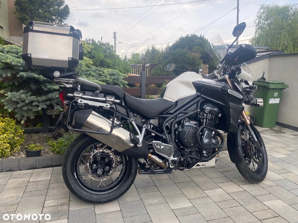 Triumph Tiger - 15