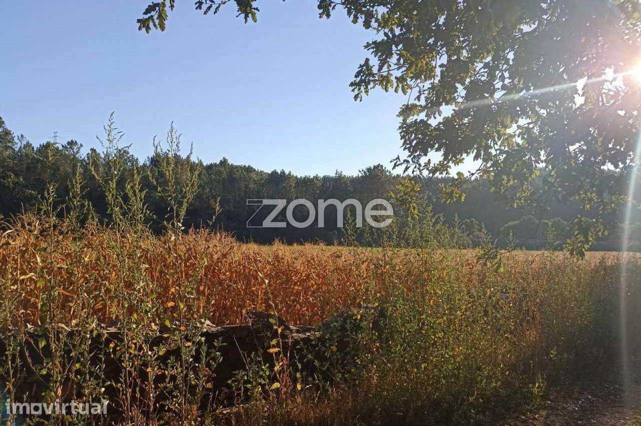 Terreno com 20.655m2 e Ruína com 452m2 em Covelas - Trofa - Grande imagem: 5/17