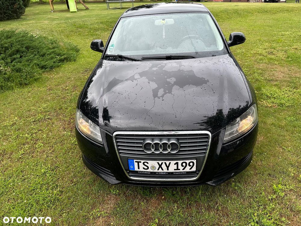 Audi A3 3-drzwiowe 1.6 Ambiente - 13