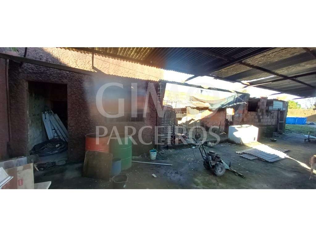 Moradia T3 para Remodelação ou Construção em Oiã - Grande imagem: 3/11