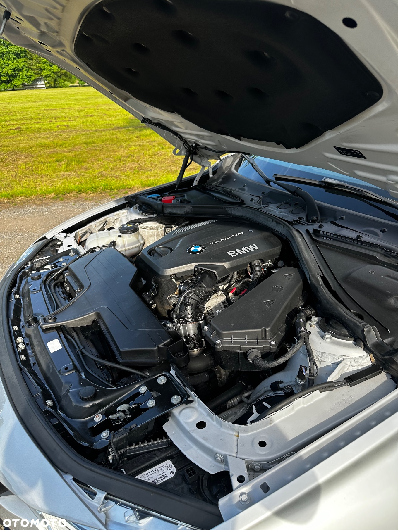 BMW Seria 3 - 33
