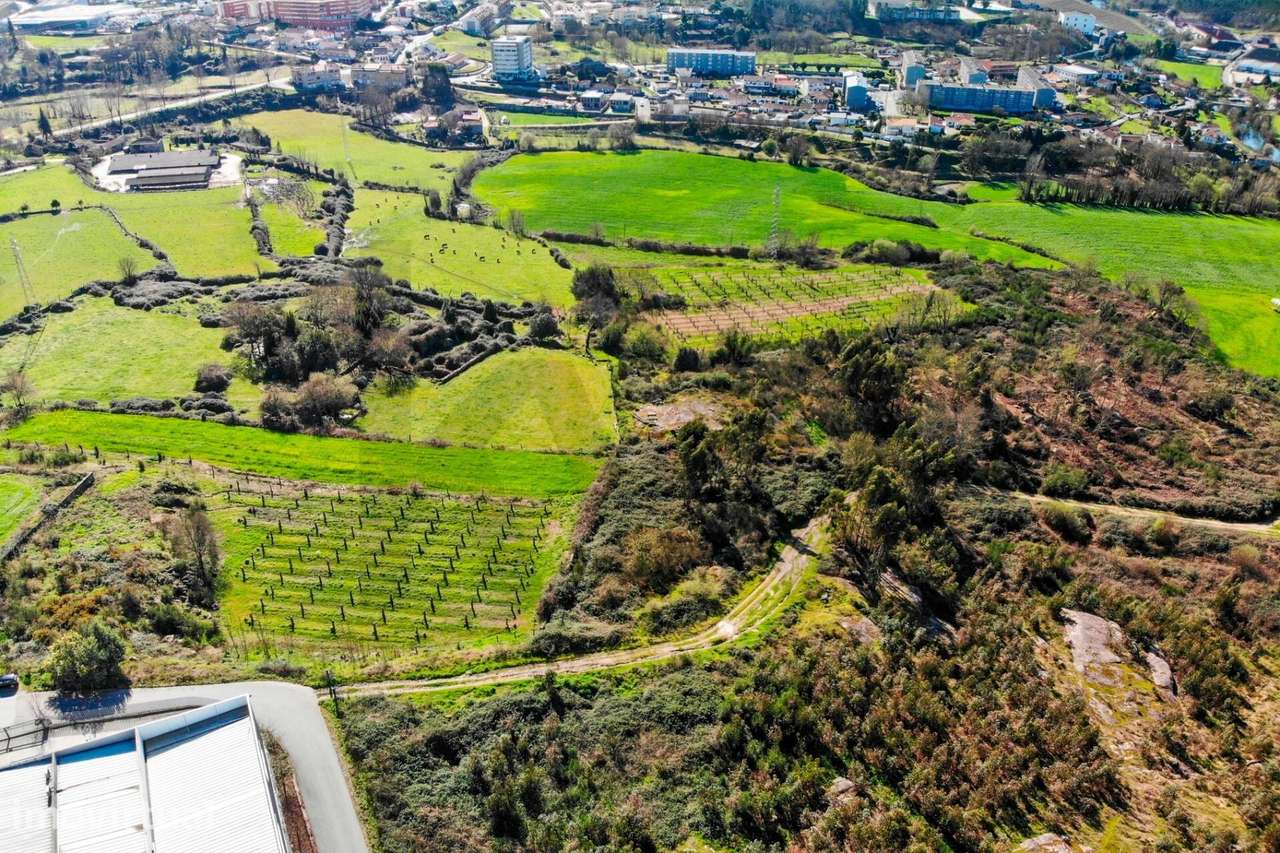 20ha Industriais em Guimarães: O Próximo Hub Logístico e Tecnológico d - Grande imagem: 5/60