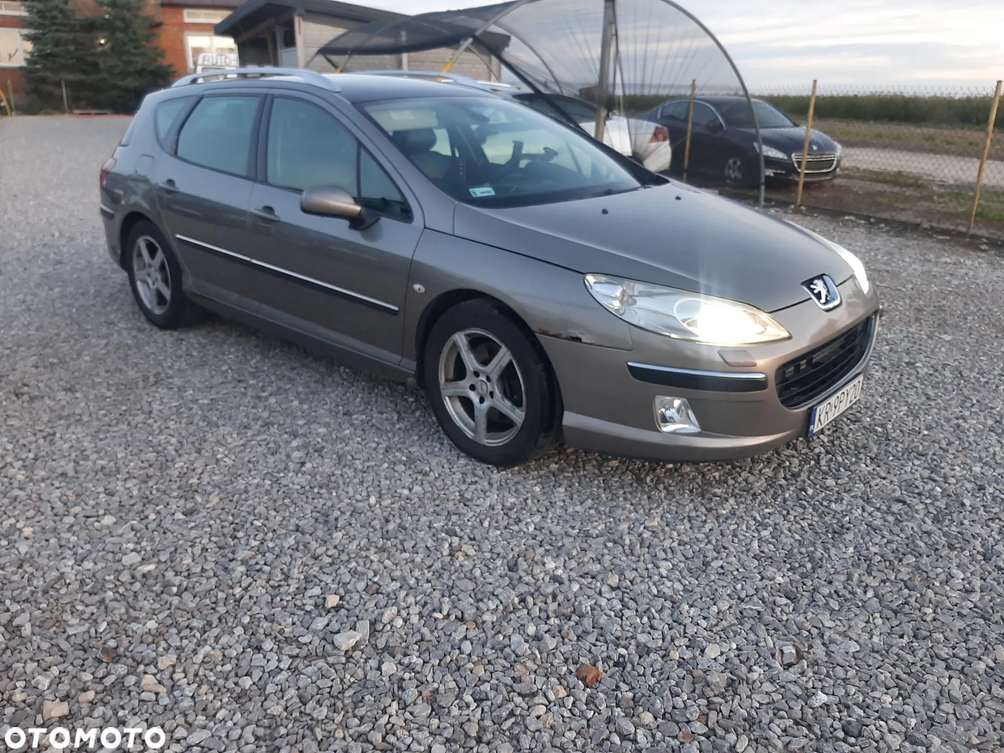 Peugeot 407 2.2 Platinum - 6