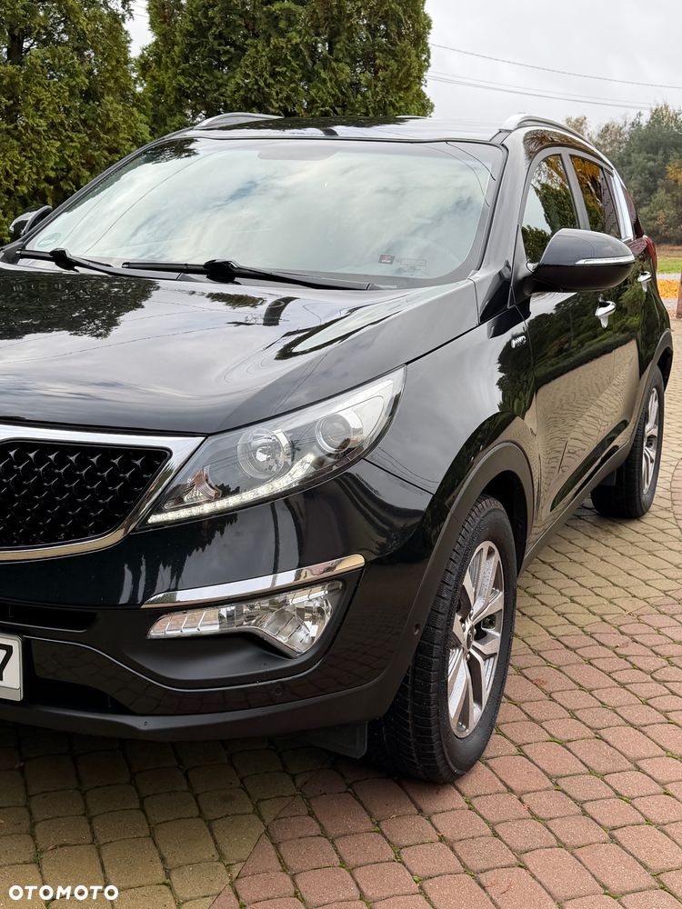 Kia Sportage - 14